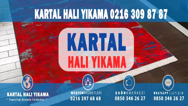 Kartal Soğanlık Yeni Halı Yıkama Firmaları